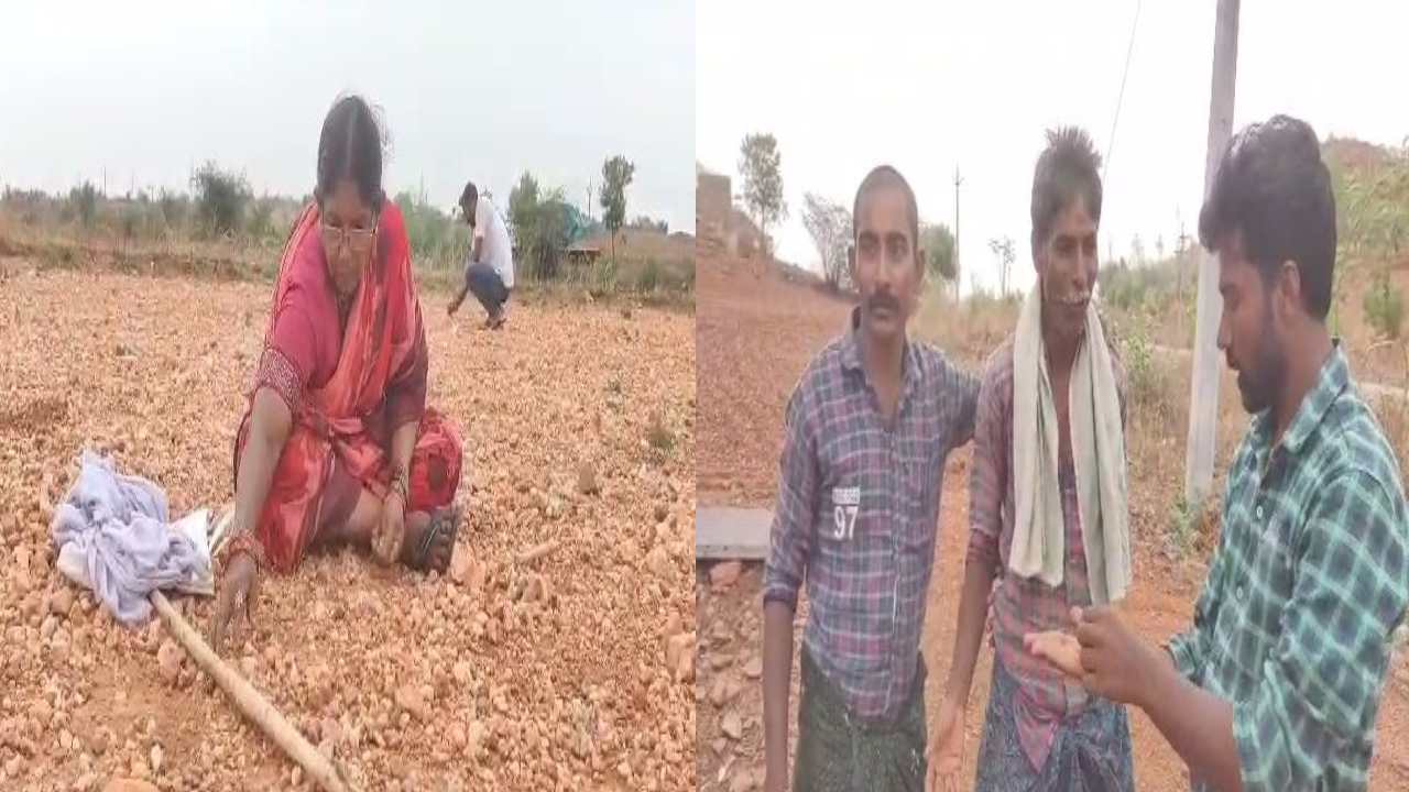 Kurnool District : మహిళా రైతు పంట పండింది.. పొలంలో దొరికిన వజ్రంతో లక్షాధికారి అయ్యింది