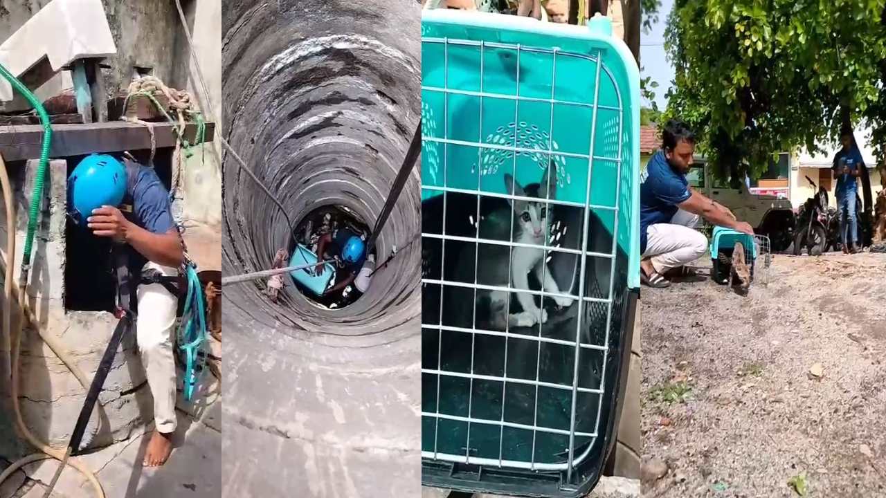 Suryapet District : మానవత్వం అంటే ఇది..  పిల్లి ప్రాణాలు కాపాడటానికి 188 కిలోమీటర్లు ప్రయాణం చేసి వచ్చిన జంతు సంరక్షణ సంస్థ