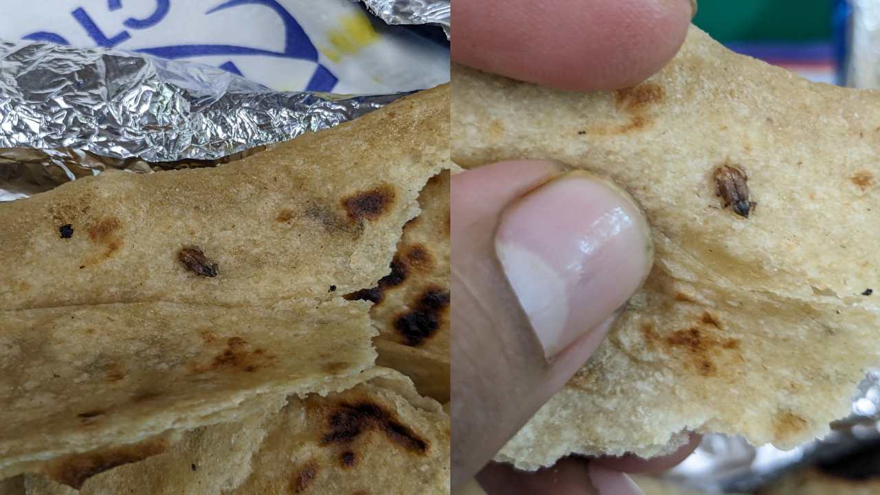 Vande Bharat Express : వందే భారత్ ఎక్స్‌ప్రెస్‌లో వడ్డించిన ఆహారంలో బొద్దింక .. స్పందించిన IRCTC