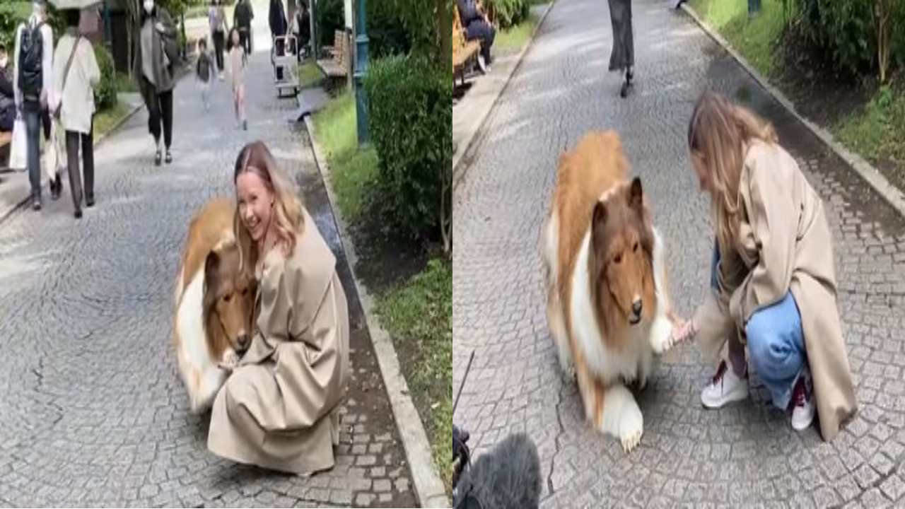 Man turned into a dog : అయ్యో!  అతను శునకంలా మారిపోయాడు.. ఎక్కడో తెలుసా?