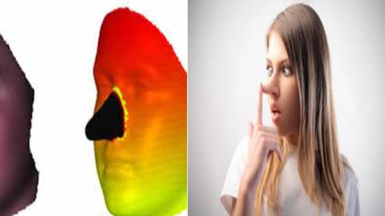 Pinocchio Effect : మీరు అబద్ధం చెబితే మీ ముక్కు చెప్పేస్తుంది