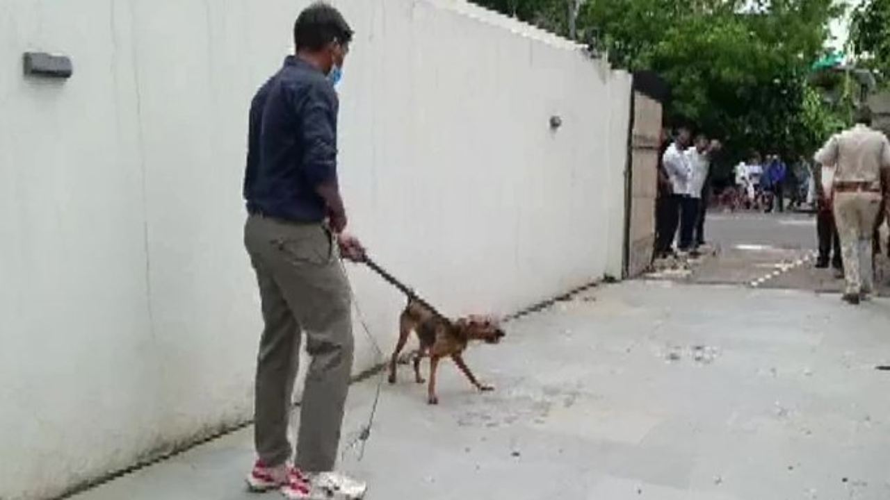 Delhi : 3 ఏళ్లుగా తన ప్లాట్ లో 14 వీధి కుక్కలను నిర్బంధించిన మహిళ.. దయనీయమైన పరిస్థితిలో ఉన్నవాటిని కాపాడిన పోలీసులు