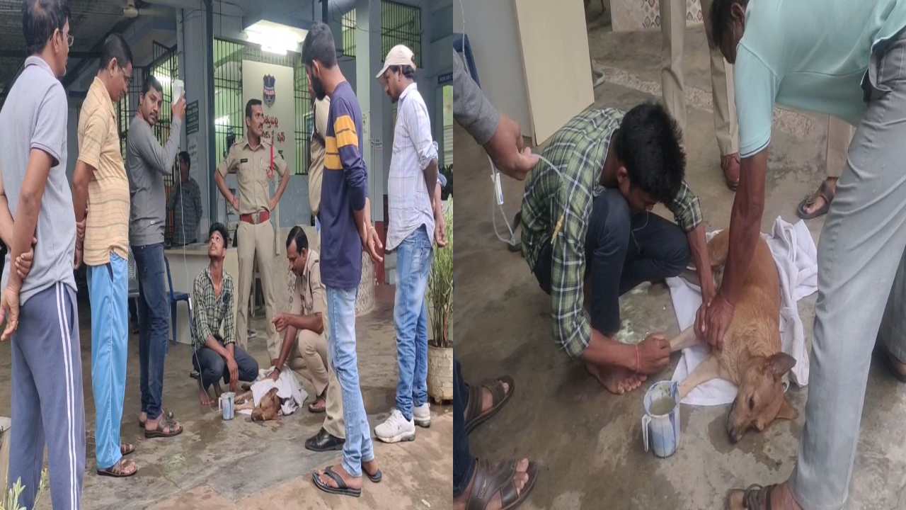 Khammam District : అనారోగ్యంతో చనిపోయిన కుక్కకు అంత్యక్రియలు నిర్వహించి మానవత్వం చాటుకున్న పోలీసులు