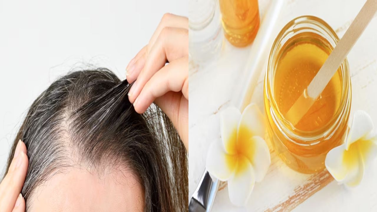 Benefits of honey for hair : తేనె రాస్తే జుట్టు తెల్లబడుతుందా? ఇందులో నిజమెంత..