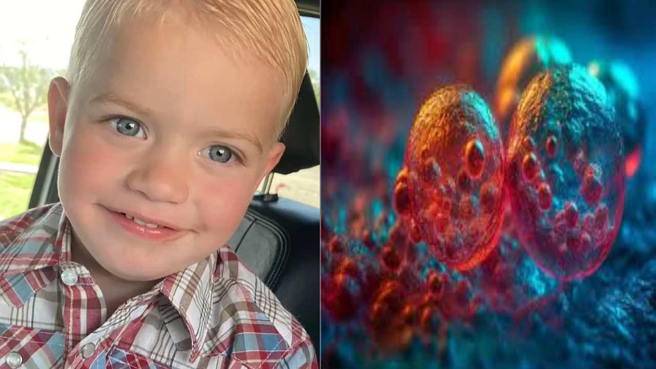 United States : ‘బ్రైన్ ఈటింగ్ అమీబా’ కారణంగా రెండేళ్ల బాలుడు మృతి .. పిల్లల్లో వచ్చే ఈ ఇన్ఫెక్షన్‌ లక్షణాలేంటి?