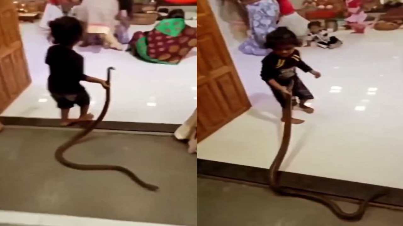 Viral Video : పాముతో ఆటలాడుతున్న చిన్నారి.. వీడియో తీసిన వాళ్లు అజ్ఞానులంటూ నెటిజన్లు ఫైర్