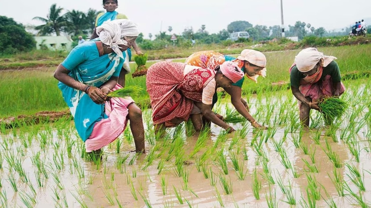 PM Kisan Samman Nidhi: అన్నదాతకు గుడ్‌న్యూస్.. పీఎం కిసాన్ సమ్మాన్ యోజన నిధులు విడుదల చేసిన ప్రధాని మోదీ ..