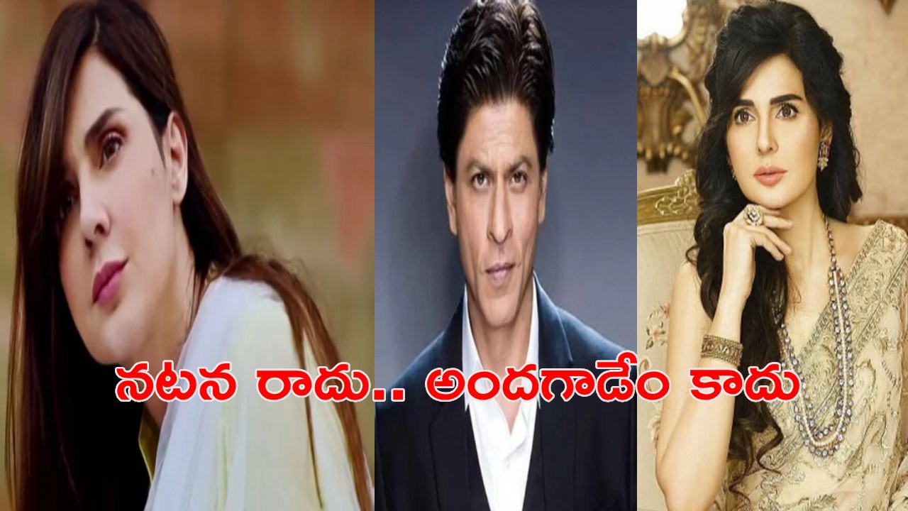 Mahnoor Baloch : షారుఖ్‌ ఖాన్‌కు న‌ట‌న రాదు.. పెద్ద అంద‌గాడేం కాదు.. న‌టి సంచ‌ల‌న వ్యాఖ్య‌లు