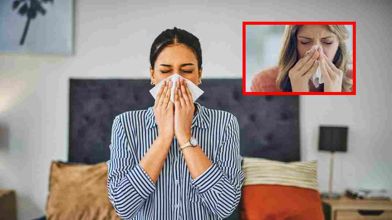 Remedies For a Stuffy Nose : జలుబు, ముక్కు దిబ్బడతో ముక్కు మూసుకుపోయిందా… ఇలా చేయండి
