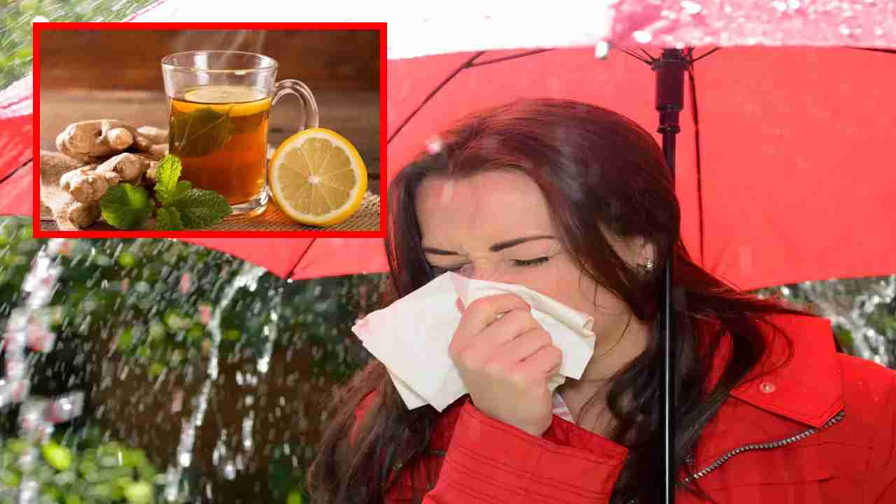 Respiratory Infections : వర్షాకాలంలో శ్వాసకోశ ఇన్ఫెక్షన్లను అరికట్టడానికి 5 ఎఫెక్టివ్ హోం రెమెడీస్ !