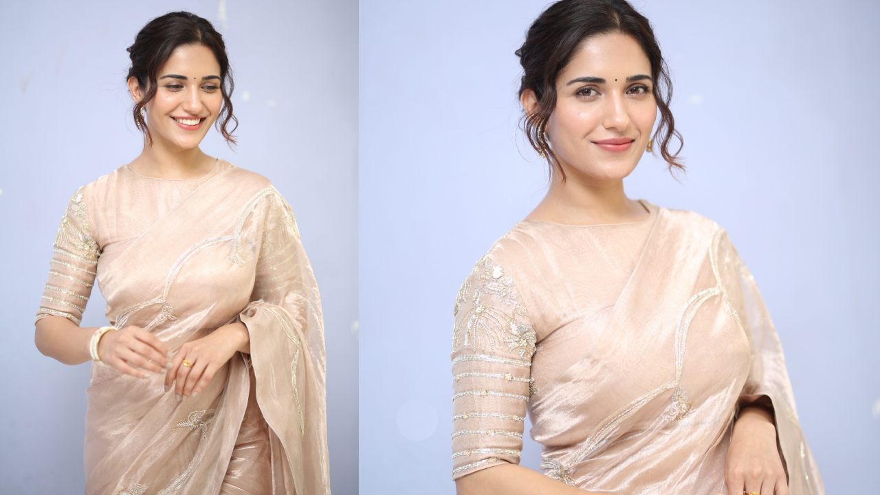 Ruhani Sharma : చీరలో రుహాణి శర్మ సోయగాలు సొగసు చూడతరమా..