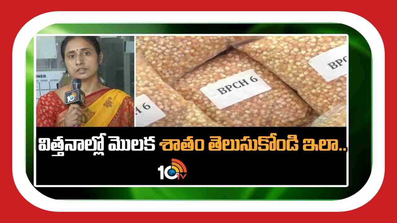 Seeds Germination : విత్తనాల్లో మొలక శాతం తెలుసుకోండి ఇలా..