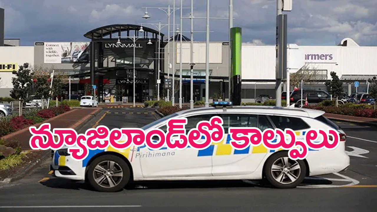 New Zealand : న్యూజిలాండ్‌లో కాల్పులు, ఇద్దరి మృతి..షూటర్ హతం