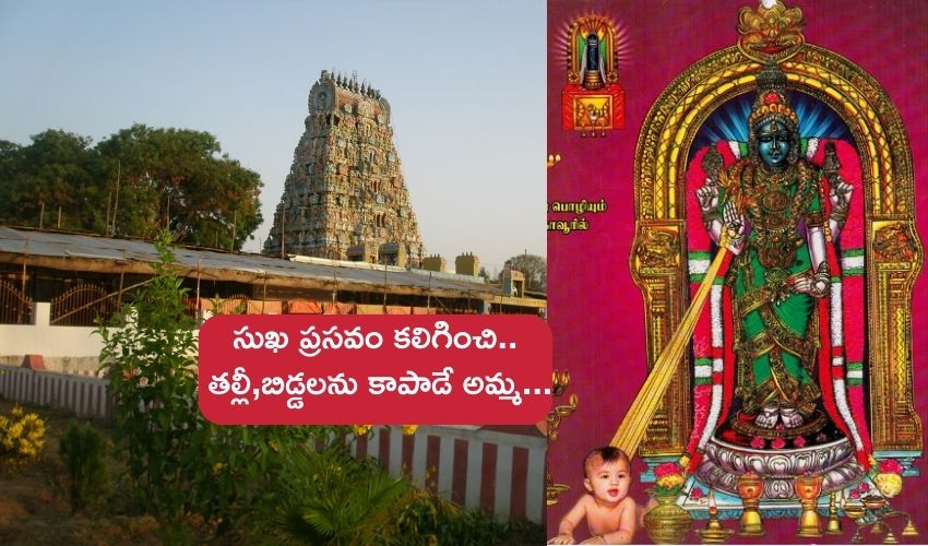 Sri Garbarakshambigai : గర్భిణులకు రక్షణగా ఉండే జగన్మాత కొలువైన పుణ్యక్షేత్రం గురించి తెలుసా..?