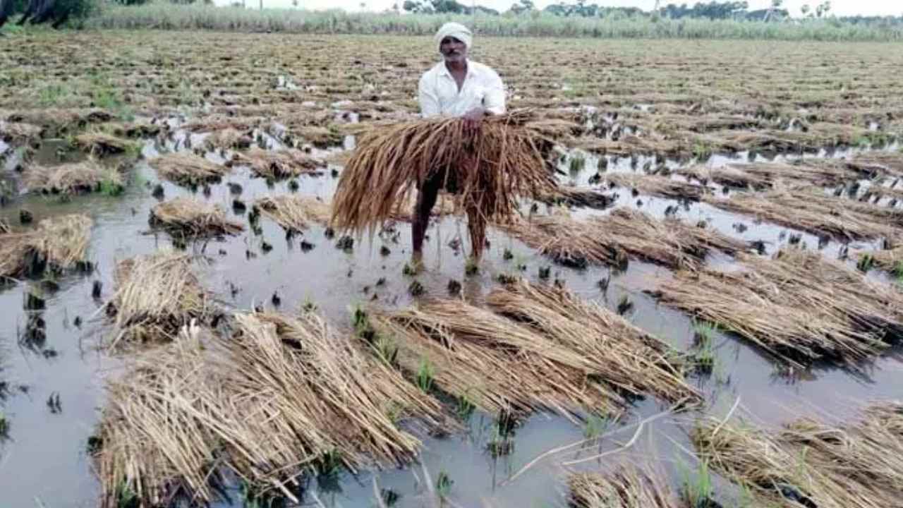 Telangana Government : తెలంగాణ ప్రభుత్వం తీపికబురు.. అకాల వర్షాలతో పంట నష్టపోయిన రైతులకు రూ.304.61 కోట్ల పరిహారం విడుదల