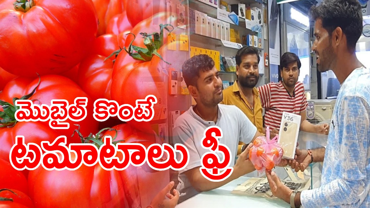 Tomato Free : ఇది బంపరాఫరే..! మొబైల్ కొంటే రెండు కేజీలు టమాటాలు ఫ్రీ.. ఎక్కడో తెలుసా?