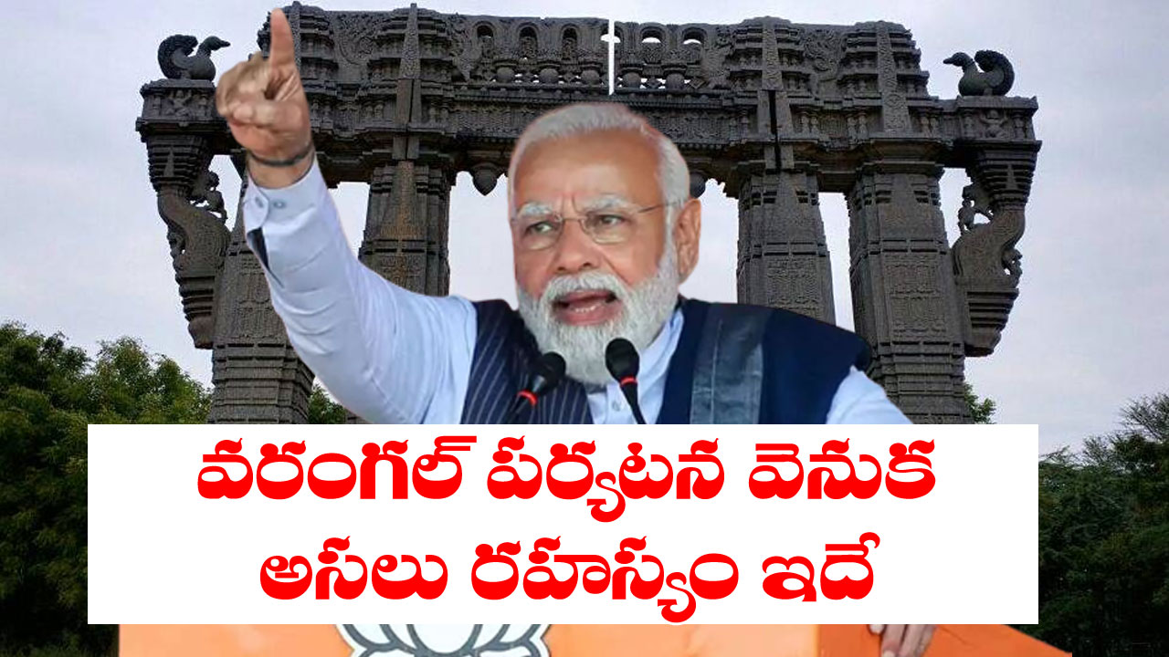 Modi in Warangal: ప్రధాని మోదీ ‘వరంగల్ పర్యటన’ బీజేపీకి ఎందుకింత ప్రతిష్టాత్మకం? దక్షిణ భారతంతో దీనికి సంబంధం ఏంటి?