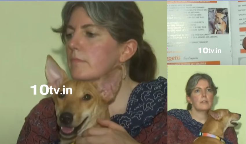 Indian street dog to Italy : భారతీయ వీధికుక్కకు ఇటలీ పాస్‌పోర్ట్ .. వారణాసి శునకానికి విదేశీయోగం వెనుకున్న కధ ఇదే..