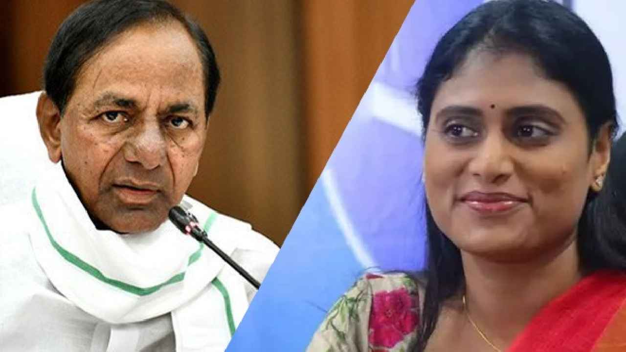 YS Sharmila: నాలుగేళ్లు గడీల్లో కుంభకర్ణుడిలా మొద్దు నిద్రపోయారు.. ఇప్పుడు జనాలకు మద్యం తాగిస్తారట: షర్మిల