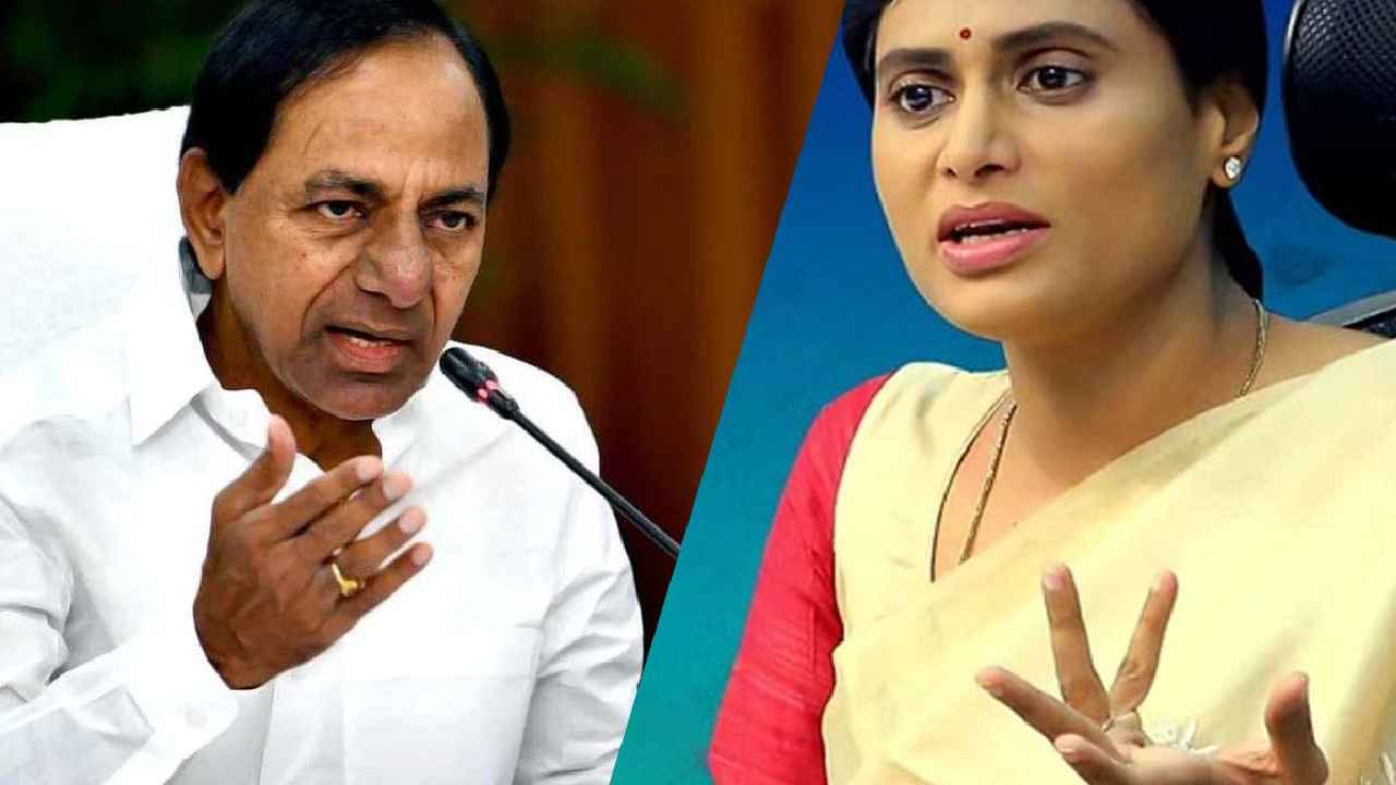 YS Sharmila : దమ్ముంటే.. ఉద్యోగాల కల్పనపై శ్వేతపత్రం ఇవ్వండి- సీఎం కేసీఆర్ కు షర్మిల సవాల్