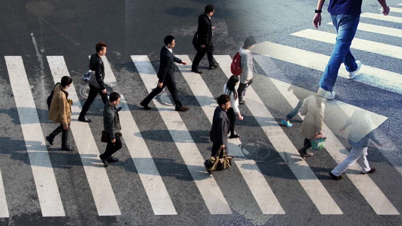 Zebra line On Road : వర్షాకాలంలో జీబ్రా లైన్ దాటేటప్పుడు బీ కేర్ ఫుల్ .. తెలుపురంగుపై ‘అడుగు’ జాగ్రత్త ఎందుకంటే..