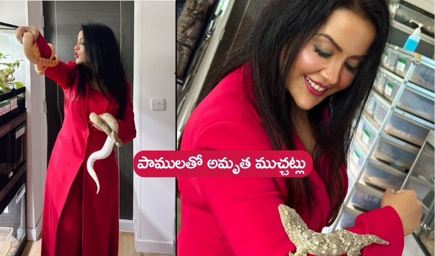 Amruta Fadnavis  : పాముల కంటే మనుషులే విషపూరితమైనవారు’: పాములతో డిప్యూటీ సీఎం భార్య ఫోటోలు వైరల్