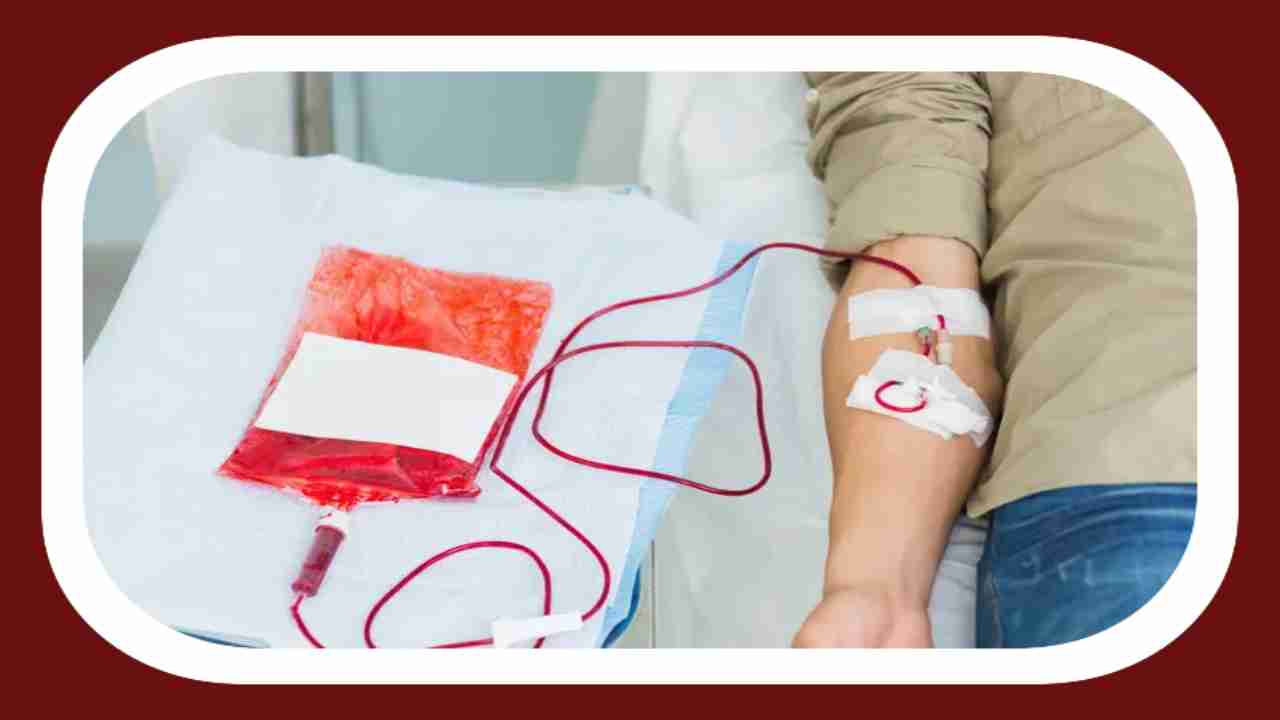 Blood Donation : రక్తదానం సురక్షితమేనా? మనం ఎన్నిరోజులకొకసారి రక్తదానం చేయవచ్చు?