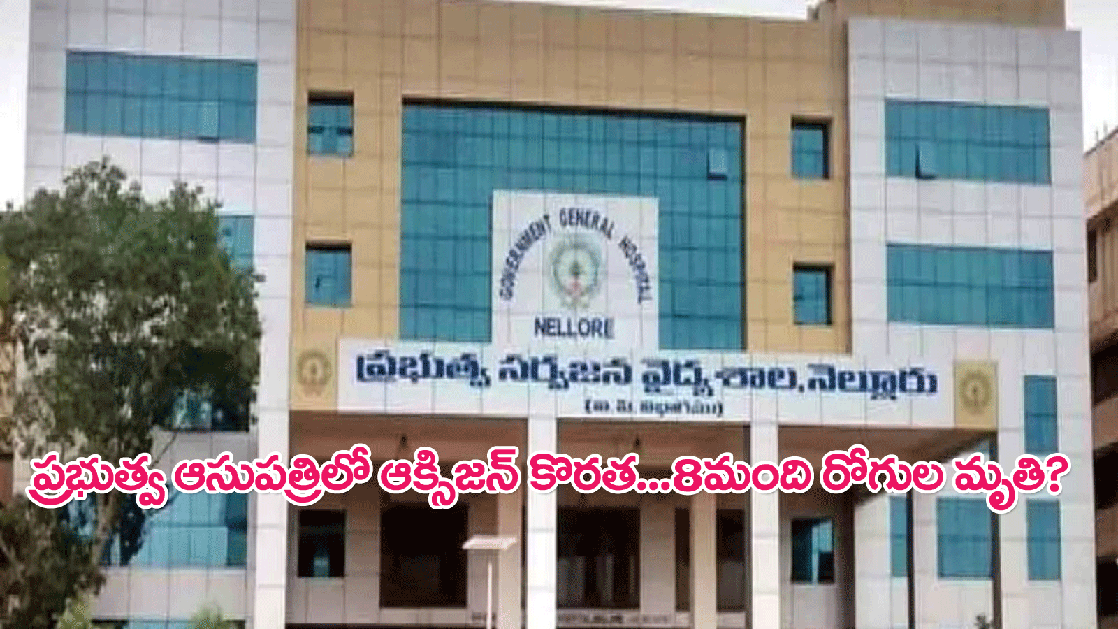 Nellore government hospital : నెల్లూరు ప్రభుత్వ ఆసుపత్రిలో ఆక్సిజన్ అందక 8 మంది రోగుల మృతి?