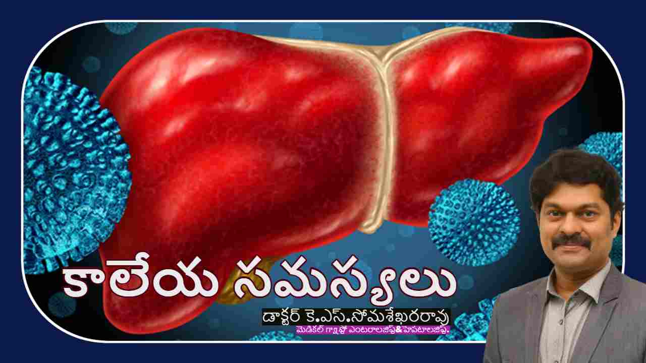 Liver Infections : హెపటైటిస్ నుంచి కాలేయాన్ని కాపాడుకుందాం