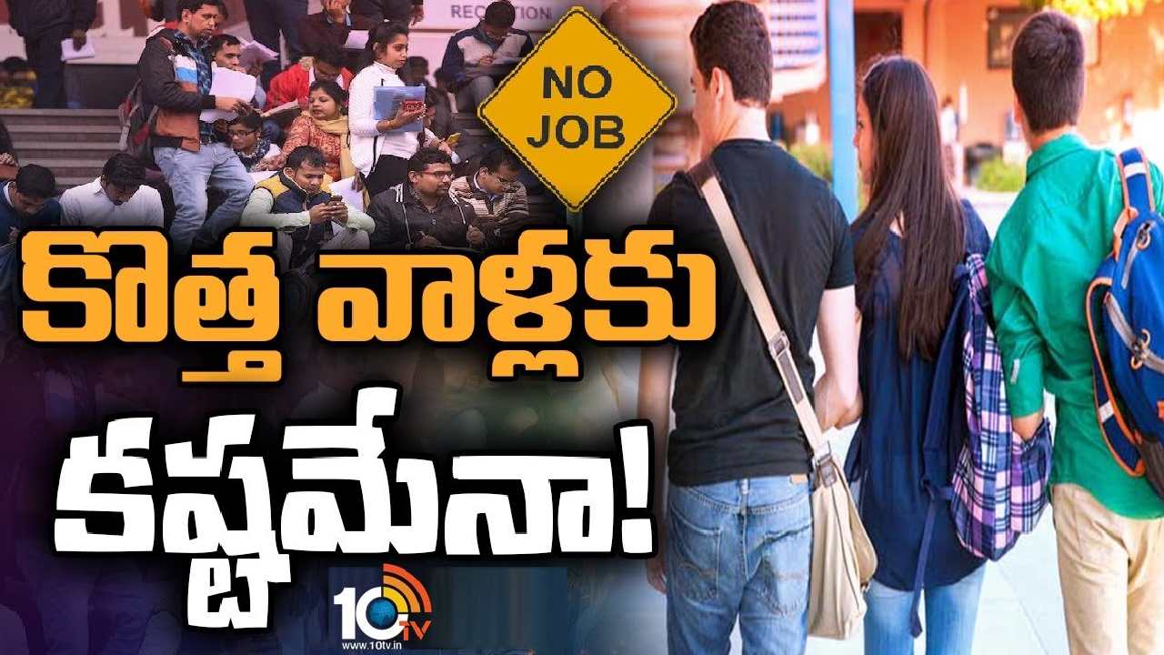 No Jobs For Freshers : ఐటీ కంపెనీల్లో ఫ్రెషర్లకు నో జాబ్స్