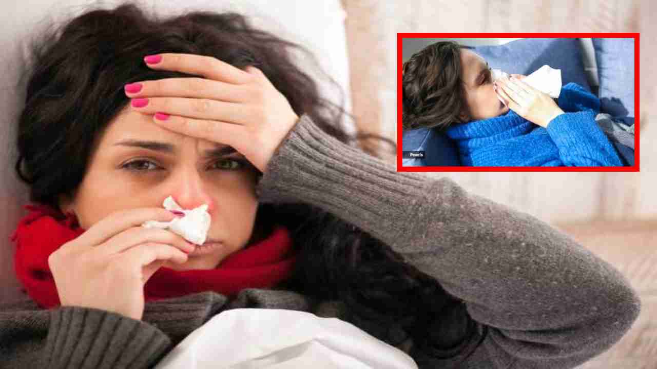Prevent Cough and Cold : వర్షాకాలంలో దగ్గు, జలుబును ఎలా నివారించాలి ?