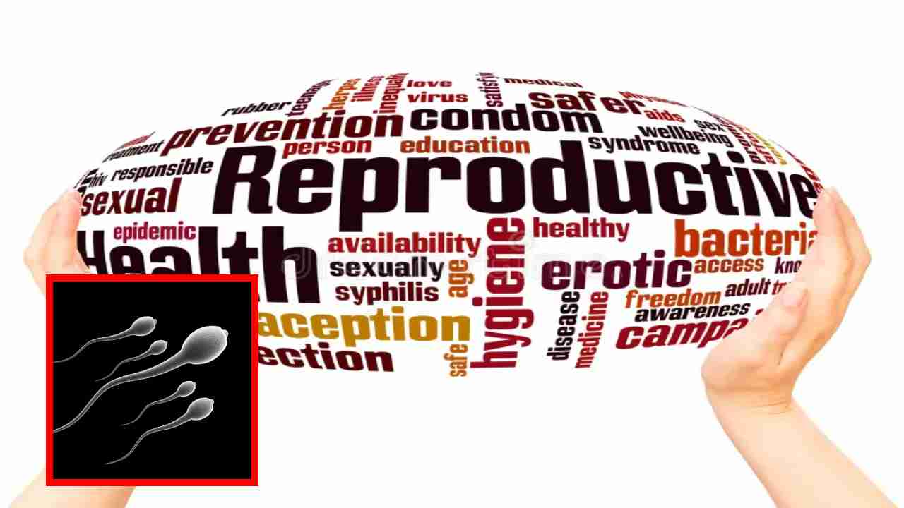 Reproductive Health : పురుషులు పునరుత్పత్తి ఆరోగ్యం గురించి తప్పక తెలుసుకోవాల్సిన ముఖ్యమైన వాస్తవాలు !