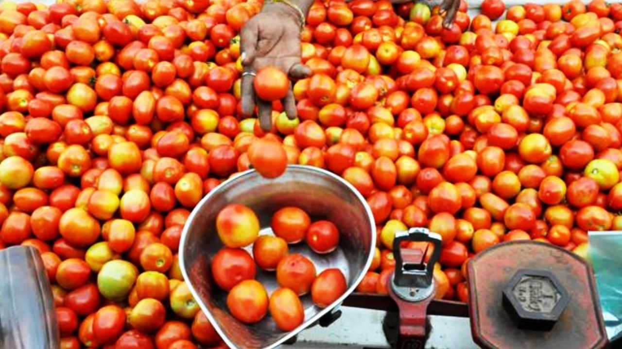 Tomato Price : టమాటా ధరలకు రెక్కలు.. కిలో రూ. 250, ఎక్కడంటే?