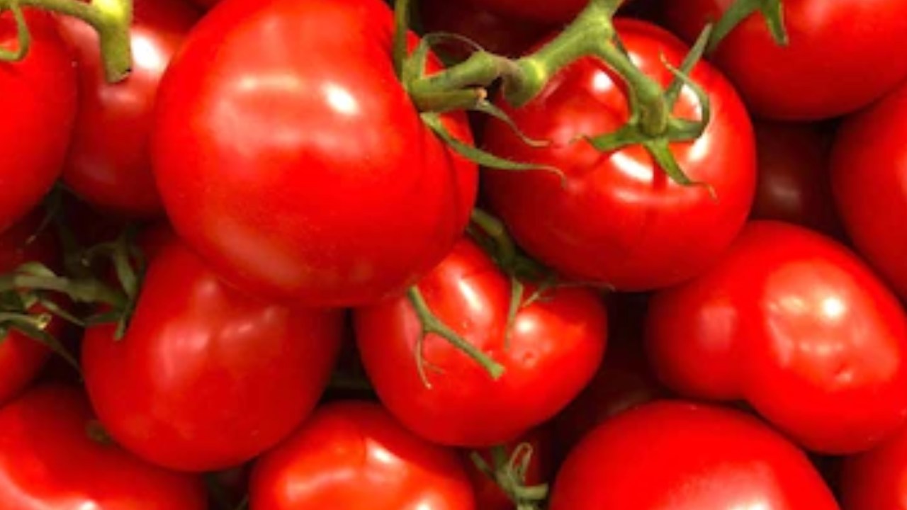 Tomato Theft : కర్ణాటకలో రూ.2.5 లక్షలు విలువ చేసే టమాటా చోరీ