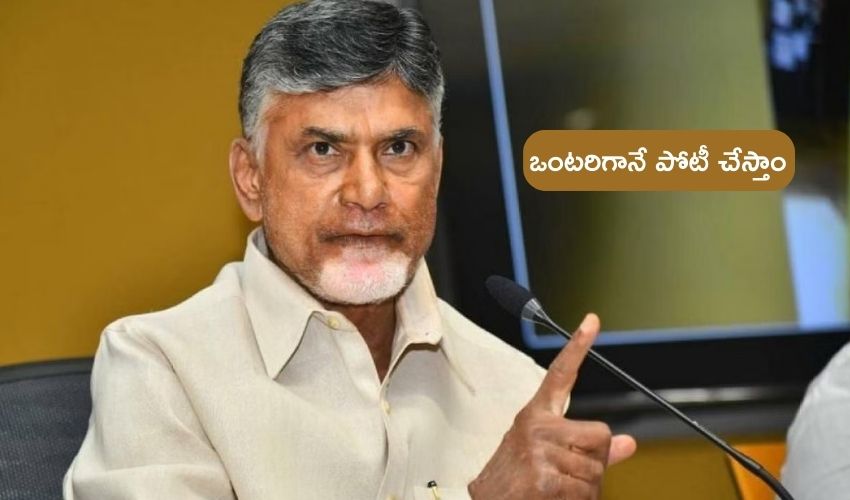 Chandrababu : ఒంటరిగానే పోటీ, బీజేపీతో పొత్తుకు టైమ్ దాటి పోయింది : చంద్రబాబు సంచలన వ్యాఖ్యలు