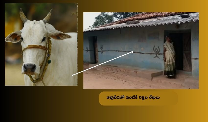 Chhattisgarh village : పిడుగులు పడకుండా ఆవుపేడ పూత..గ్రామంలో ఇళ్ల గోడలపై వింత డిజైన్లు