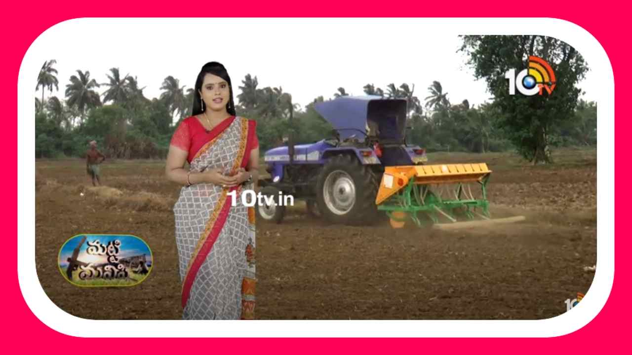 Rice Cultivation : పొడి విధానంలో వరి సాగు.. తక్కువ పెట్టుబడితోనే పంట దిగుబడులు