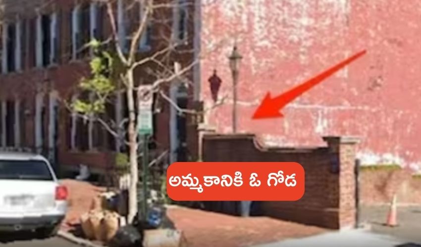 Damaged Wall For Sale : కూలిపోయేలా ఉన్న ఈ గోడ ధర అక్షరాలు రూ.41 లక్షలు ..