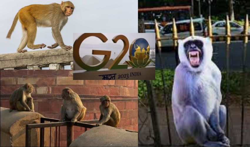 Delhi G-20 : ఢిల్లీలో జీ-20 సదస్సు, కొండముచ్చులా అరిచే ఉద్యోగుల్ని రంగంలోకి దింపిన కేంద్ర ప్రభుత్వం
