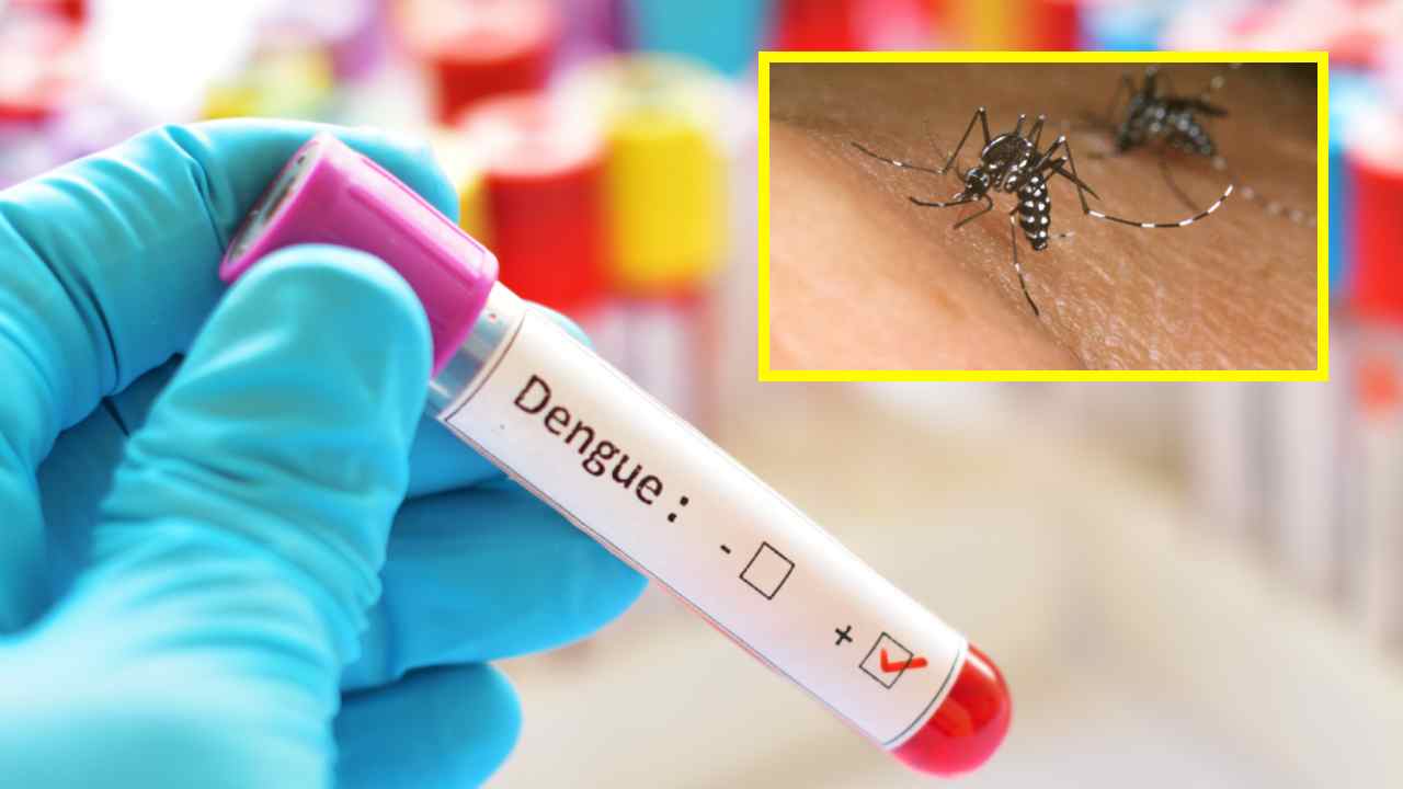 Dengue Cases : దేశవ్యాప్తంగా పెరుగుతున్న డెంగ్యూ కేసులు.. సురక్షితంగా ఉండేందుకు తీసుకోవాల్సిన జాగ్రత్తలు