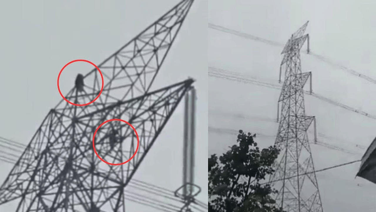 Girl Climbs Tower : ప్రియుడిపై కోపంతో 80 అడుగుల ఎత్తైన టవర్ ఎక్కిన ప్రియురాలు