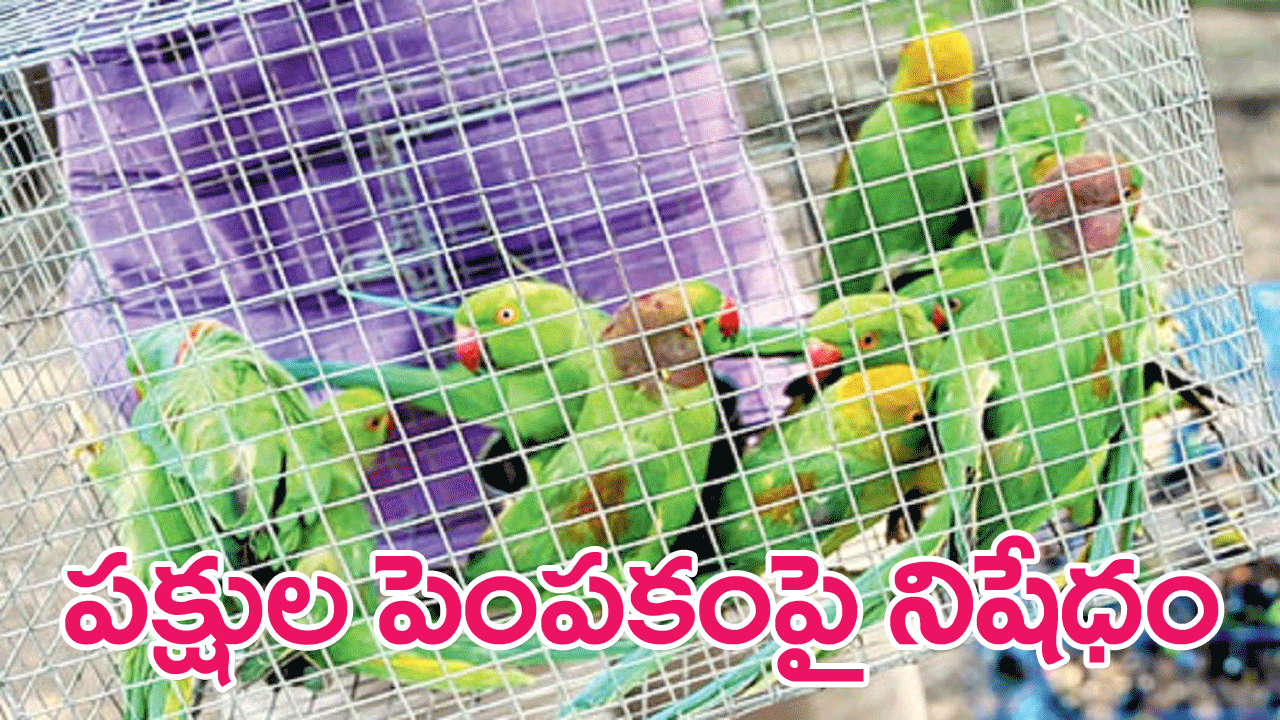Indian birds : భారతీయ పక్షులు పెంచుకోవడంపై నిషేధం : బెంగాల్ అటవీశాఖ మంత్రి వెల్లడి