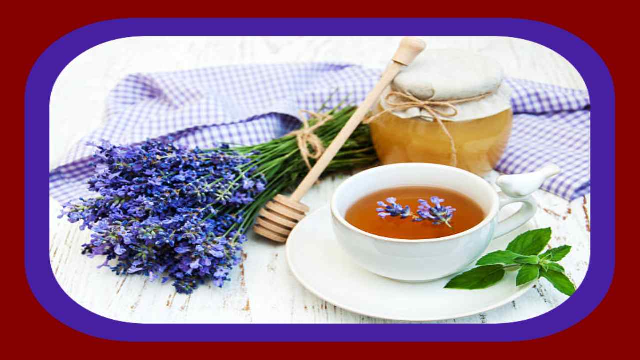Lavender Tea : లావెండర్‌ టీలోని ఆరోగ్య ప్రయోజనాలు తెలిస్తే అసలు వదిలిపెట్టరు !