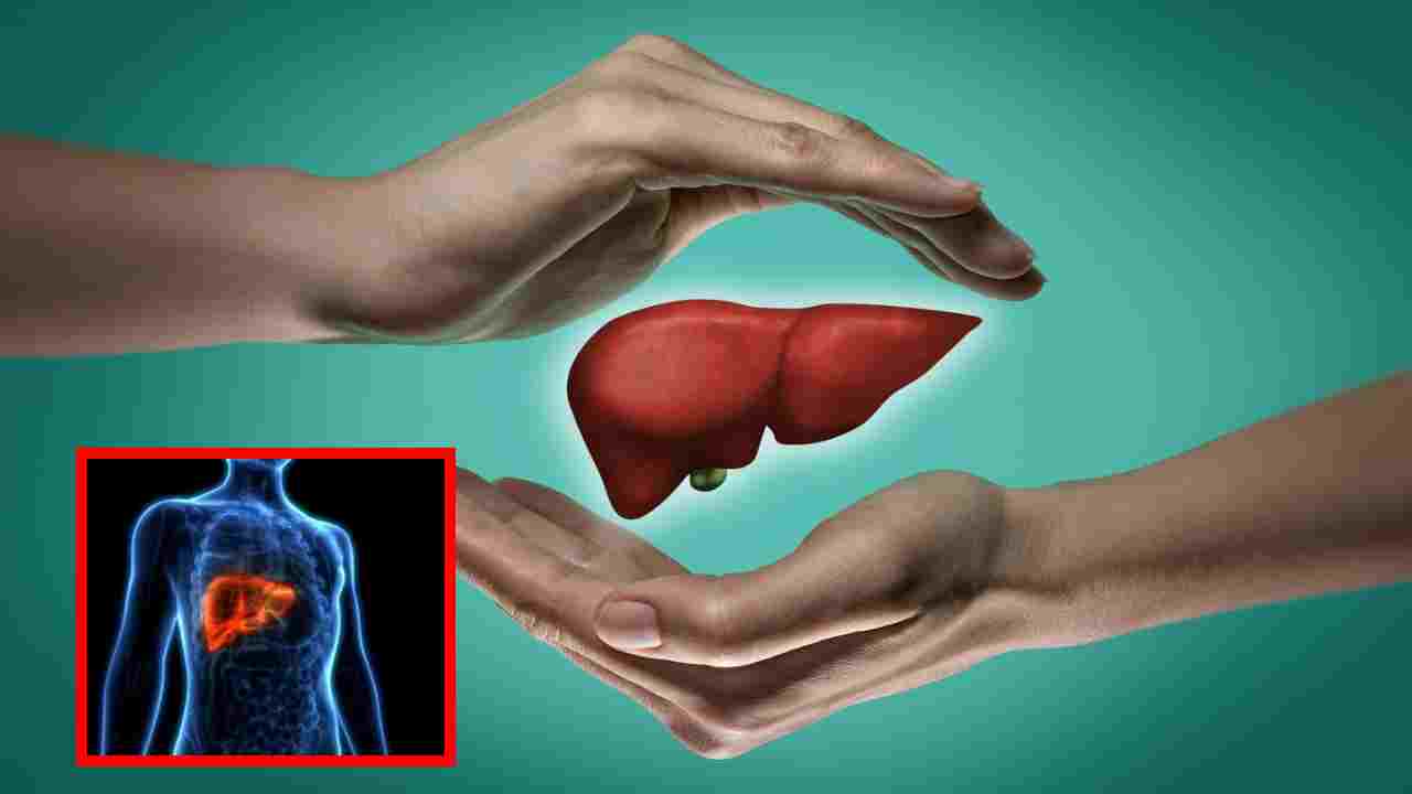 Hepatitis : వర్షాకాలంలో హెపటైటిస్ ప్రమాదాన్ని పెంచే కారకాలు, ఆరోగ్యకరమైన కాలేయం కోసం ?