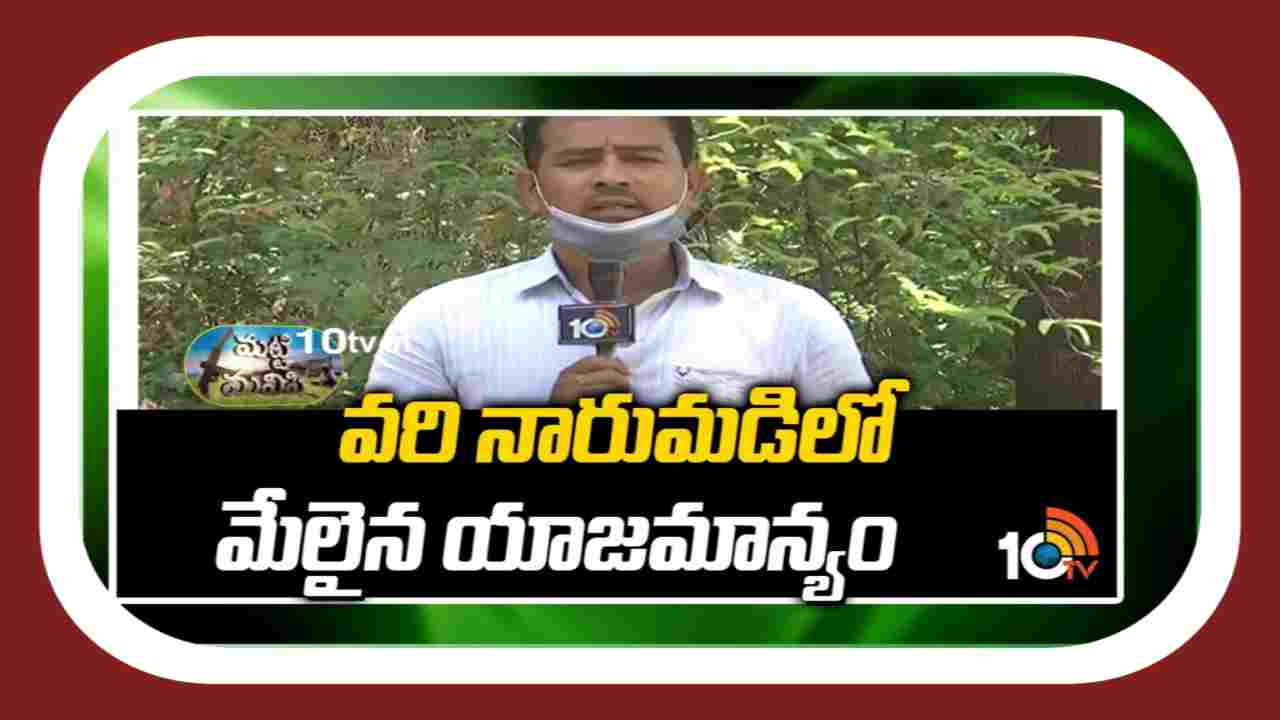 Paddy Nursery : ఖరీఫ్ వరినారుమడులను పోస్తున్న రైతులు.. నాణ్యమైన నారు కోసం చేపట్టాల్సిన మెళకువలు