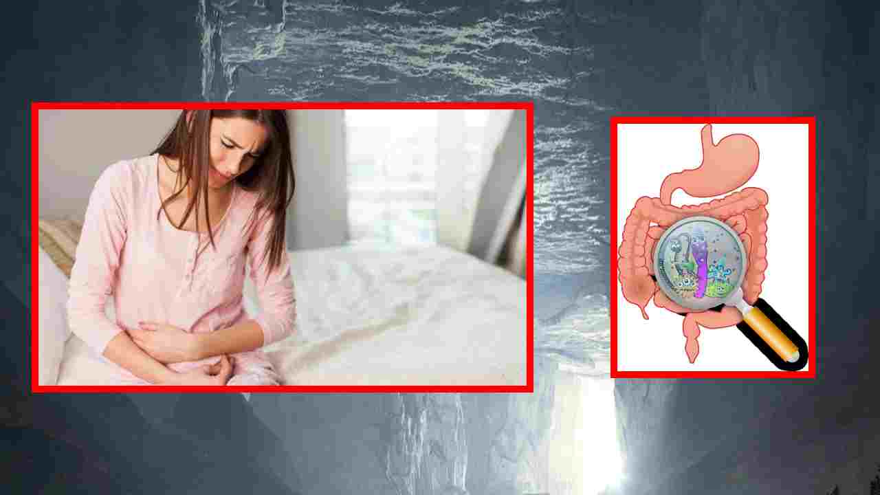 Monsoon Gut Problems : కడుపుబ్బరం, మలబద్ధకంతోపాటుగా  వర్షాకాలంలో కనిపించే 5 సాధారణ కడుపు దోషాలు !