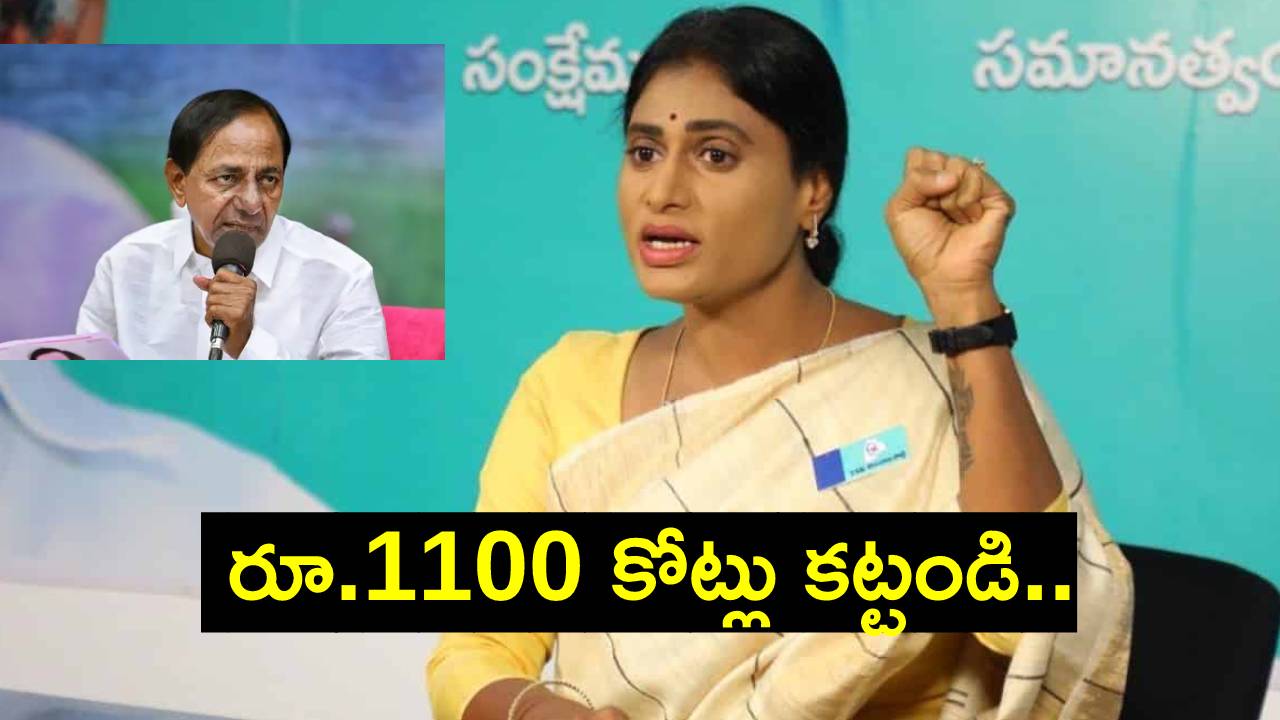 YS Sharmila: కోకాపేటలో దొర గారి భారతీయ భవన్ కోసం రూ.3.41 కోట్లకే 11 ఎకరాలు: షర్మిల