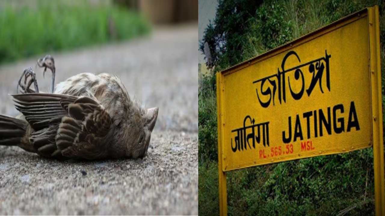 Assam : ఆ గ్రామంలో పక్షులు ఆత్మహత్య చేసుకుంటాయి.. ఆ వింత గ్రామం ఎక్కడంటే?