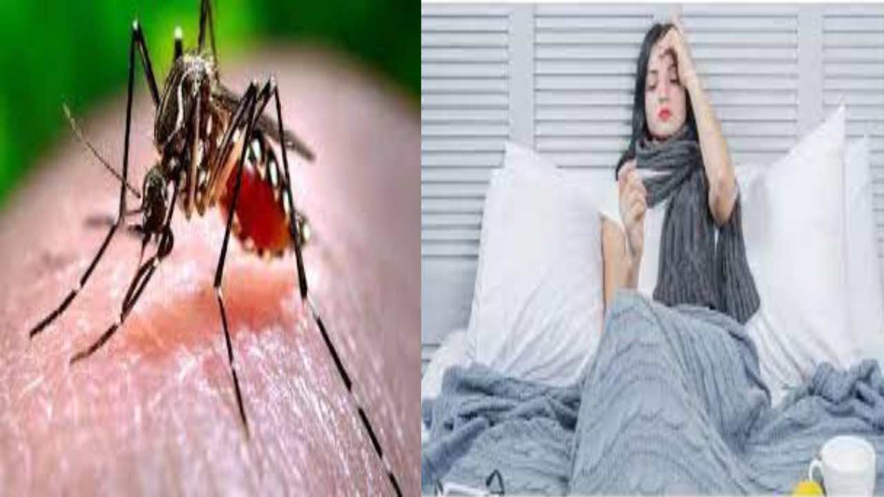 Dengue Fever : జ్వరం తగ్గిన తరువాతే డెంగీ బయటపడుతుందట.. బీ అలర్ట్