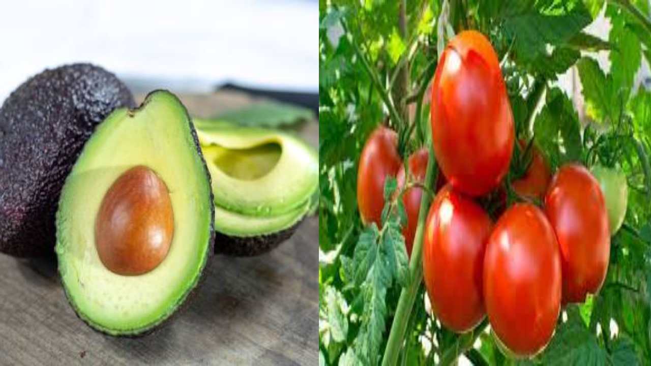 Replacing Tomato With Avocado : టమాటా ప్లేస్‌ను రీప్లేస్ చేస్తున్న అవకాడో.. మహిళ షేర్ చేసిన పోస్ట్ వైరల్